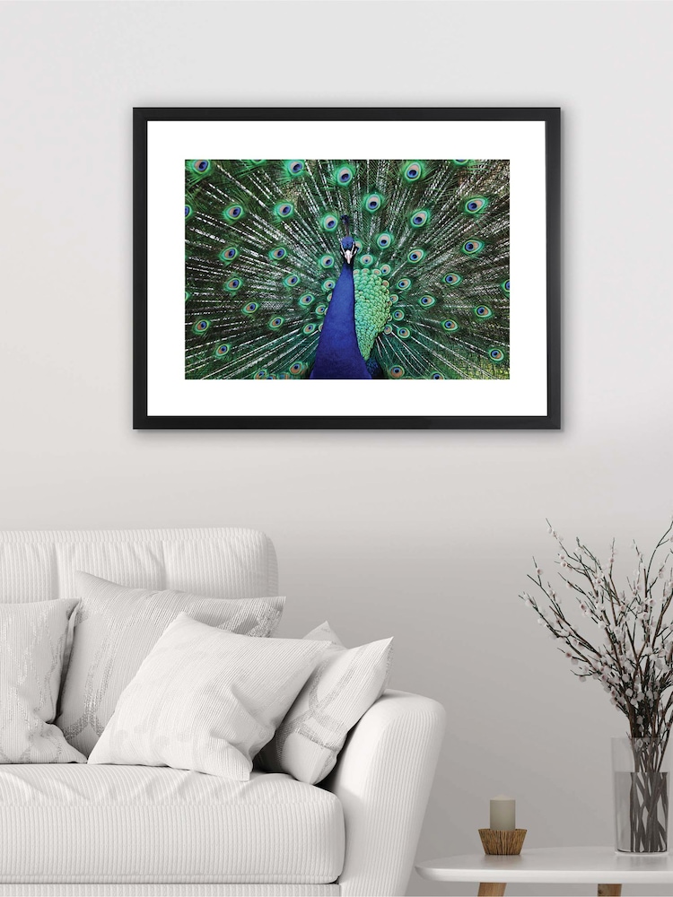 Brookpace Lascelles Blue Peacock Fan Artwork In Matt Black Frame - Image 1 of 3 Brookpace Lascelles Blue Peacock Fan Artwork In Matt Black Frame - Image 1 of 3