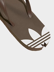 Marrón - adidas adisun Flip Flops - Imagen 5 de 8