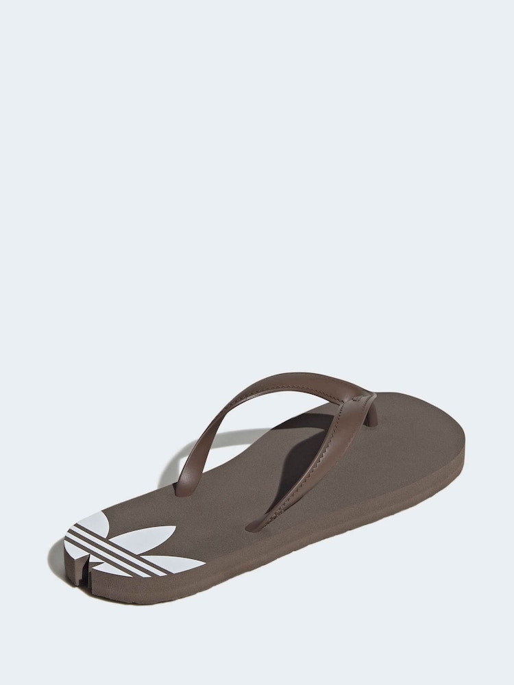 Marrón - adidas adisun Flip Flops - Imagen 8 de 8 Marrón - adidas adisun Flip Flops - Imagen 8 de 8