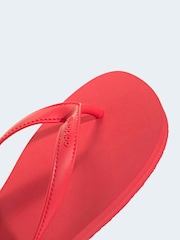 Rojo/blanco - adidas adisun Flip Flops - Imagen 5 de 8