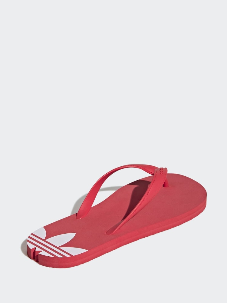 Rojo/blanco - adidas adisun Flip Flops - Imagen 8 de 8 Rojo/blanco - adidas adisun Flip Flops - Imagen 8 de 8