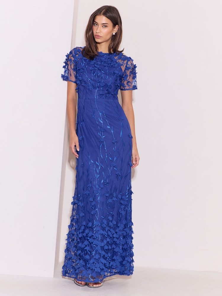 Lipsy Blue Petite 3D Flower Mesh Sleeve Fit And Flare Maxi Dress - Image 1 of 6 Lipsy Blue Petite 3D Flower Mesh Sleeve Fit And Flare Maxi Dress - Image 1 of 6