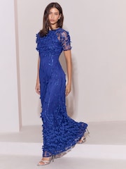 Lipsy Blue Petite 3D Flower Mesh Sleeve Fit And Flare Maxi Dress - Image 2 of 6