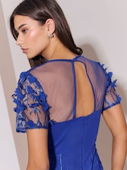 Lipsy Blue 3D Flower Mesh Sleeve Fit And Flare Maxi Dress - Image 5 of 6
