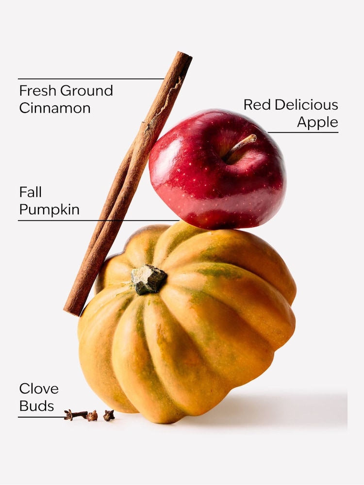 Bath & Body Works Pumpkin Apple PocketBac Cleansing Hand Gel 29ml - Image 3 of 3 Bath & Body Works Pumpkin Apple PocketBac Cleansing Hand Gel 29ml - Image 3 of 3