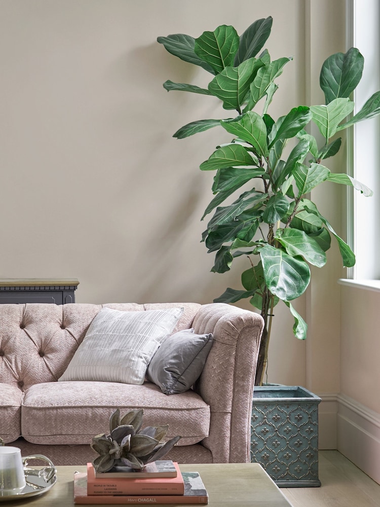 Laura Ashley Soft Natural Matt Emulsion 5LT Paint - Image 1 of 4