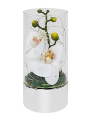 Widdop White Glass Tube Vase With Flowers and LED 20 cm - Image 1 of 3