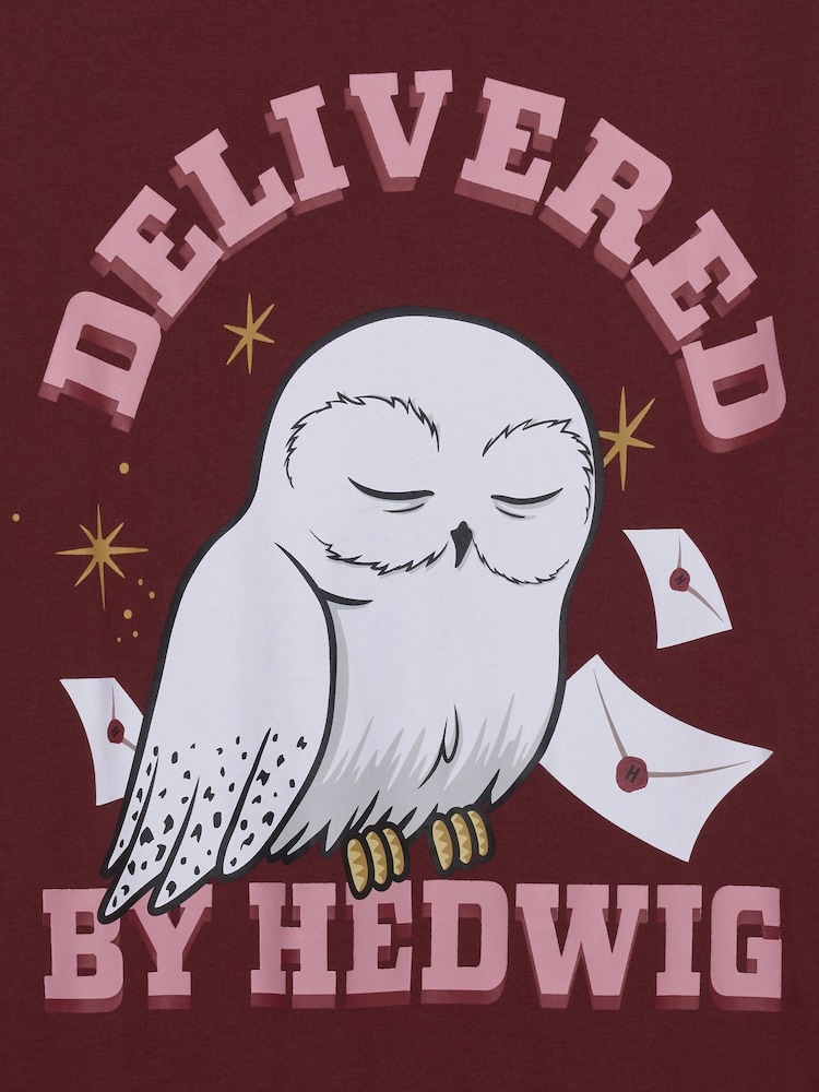Brand Threads Harry Potter Hedwig cămașă de noapte - Imaginea 9 din 9