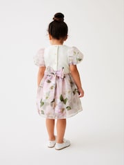 Baker by Ted Baker Organza 2-in-1 Dress - Image 2 of 9