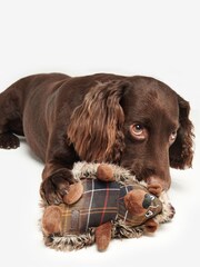 Barbour® International Natural 100% Cotton Toys - Image 6 of 7