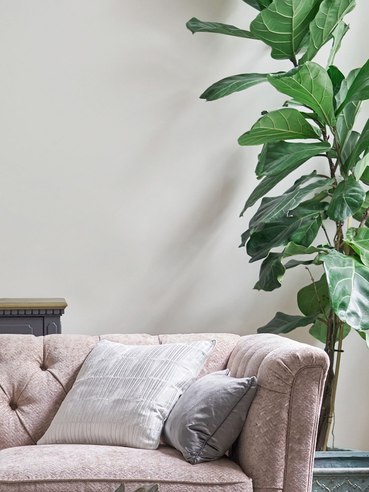 Laura Ashley Dove Grey White Matt Emulsion 5LT Paint - Image 1 of 4