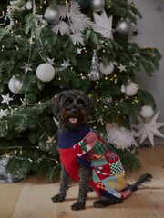 Navy Blue/Red Patchwork Matching Family Pet Knitted Christmas Jumper - Image 1 of 6