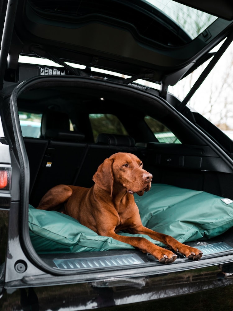 Danish Designs Green County Duvet Deep Filled Dog Bed - Image 1 of 3