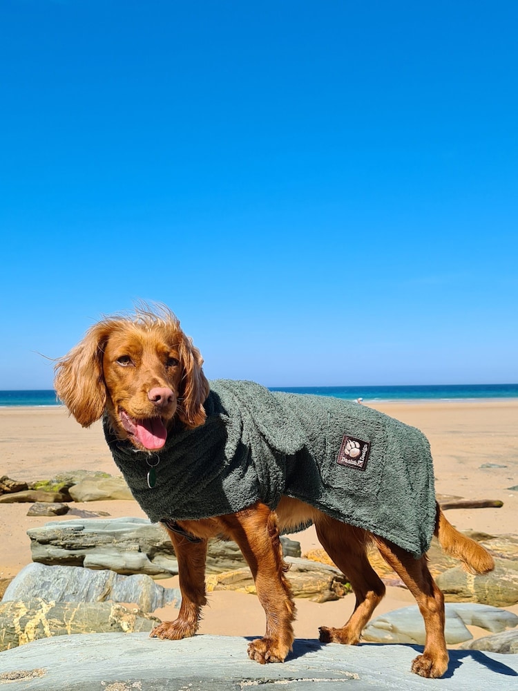 Danish Designs Green Towelling Dog Robe - Image 1 of 3