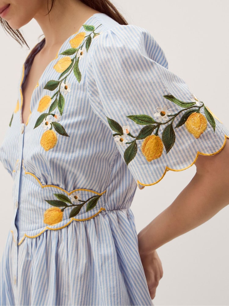 Monsoon Blue Marisol Lemon Embroidered Stripe Midi Dress - Image 2 of 5