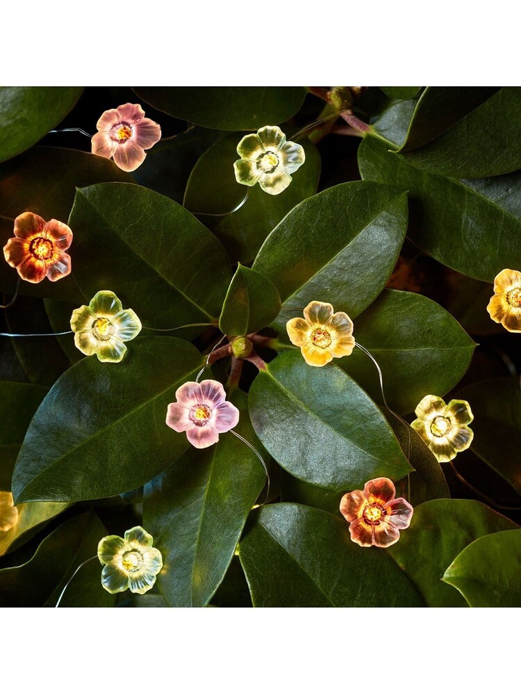 Lights4fun 20 Multi Coloured Rose Micro Fairy Lights - Image 1 of 1
