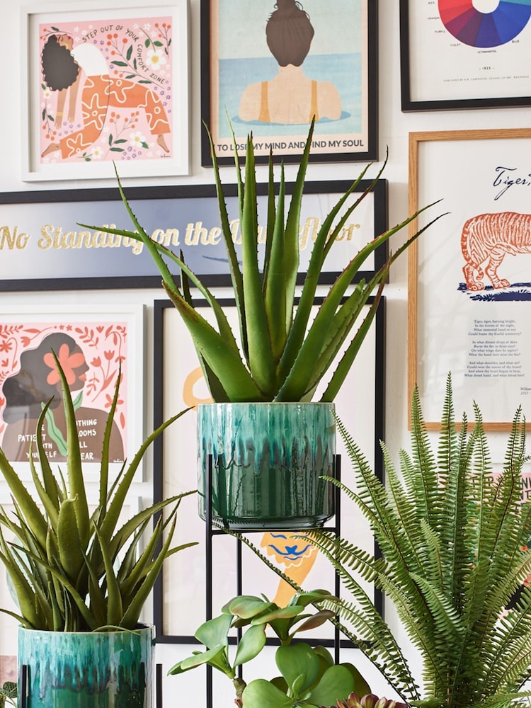Oliver Bonas Green Garden Lani Ceramic Plant Pot Planter - Image 1 of 4