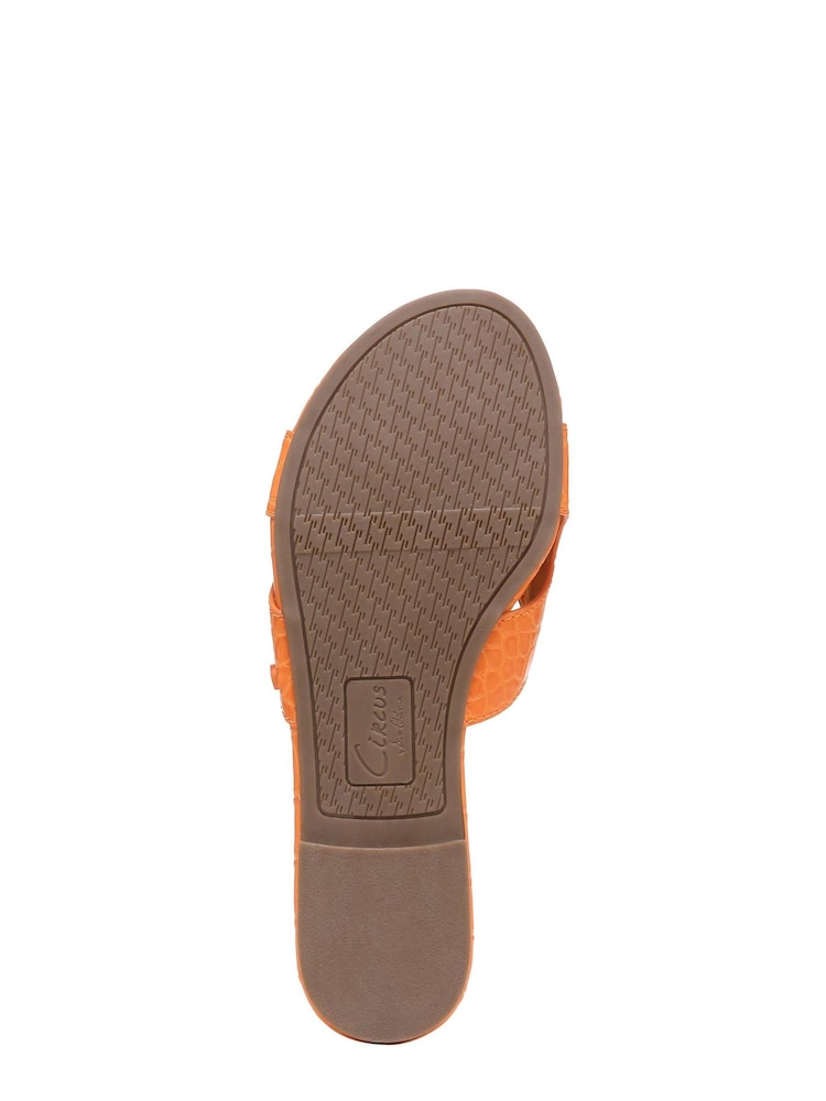 Circus NY Cate Slides - Image 6 of 6