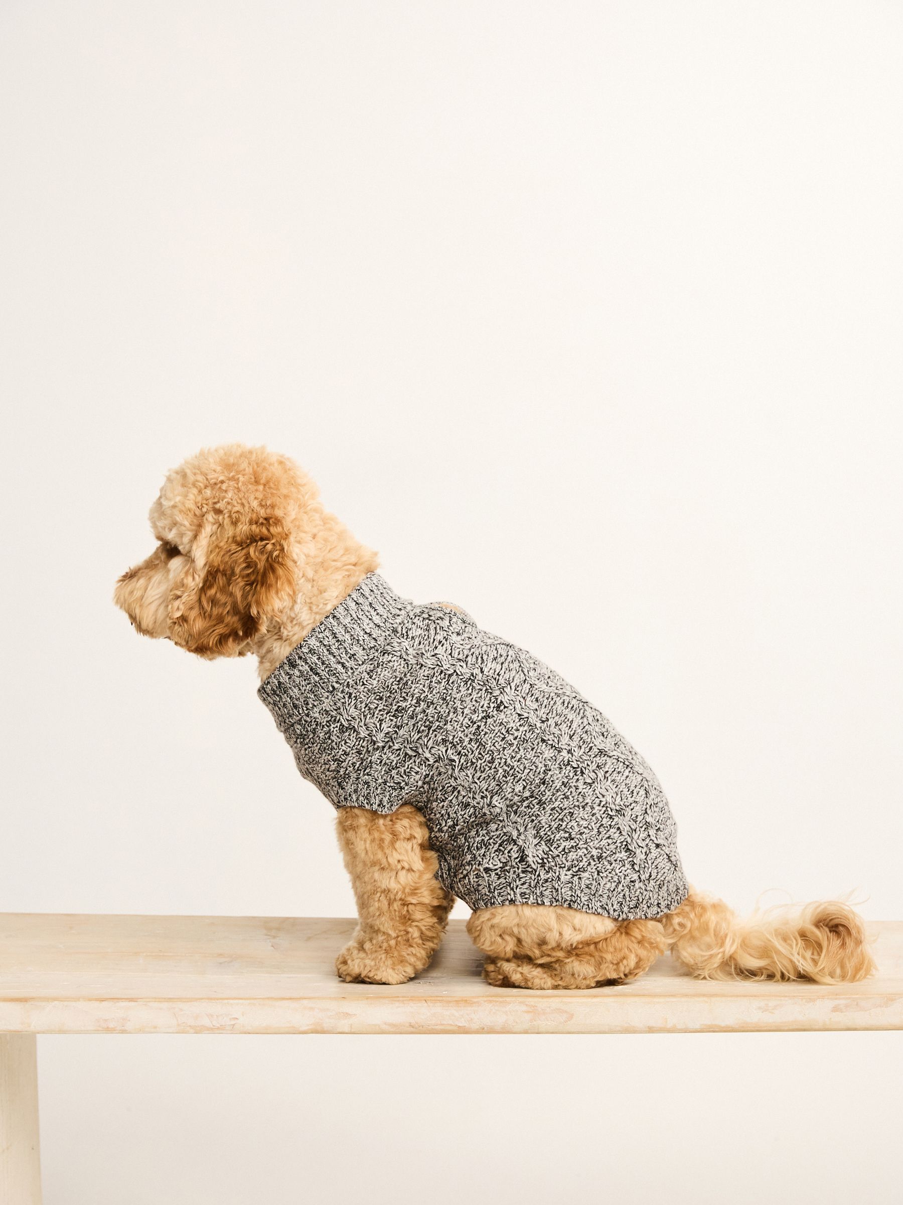 Dog jumpers next discount