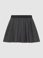 Reiss Dark Grey Marcie Wool Blend Striped Pleated Skirt - Image 2 of 6