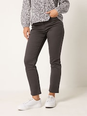 M&Co Brown Petite Straight Leg Jeans - Image 1 of 6