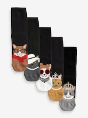 Glam Cats Ankle Socks 5 Pack - Image 1 of 6