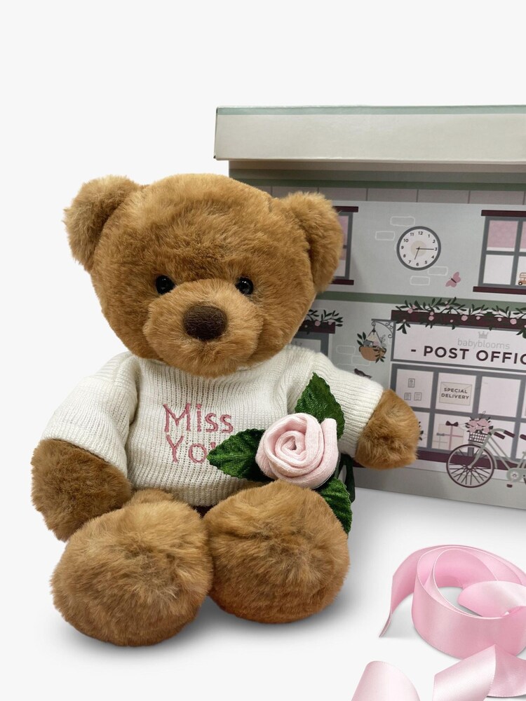Mum To Be Frankie Bear Soft Toy and Baby Rosebud Socks - Miss You - Image 1 of 1