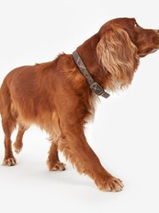Barbour® Green Tartan Dog Collar - Image 6 of 6