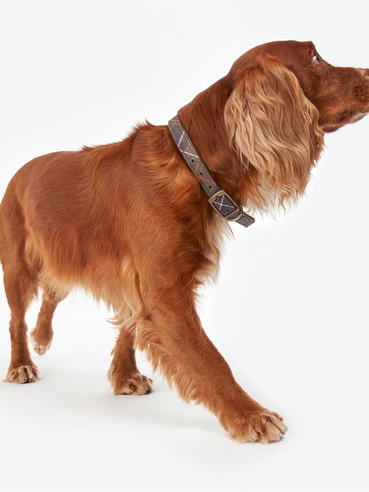 Barbour® Green Tartan Dog Collar - Image 6 of 6