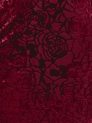 Rare London Red Burnout Flower Mesh Maxi Dress - Image 5 of 5
