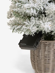 White Potted 3ft Lit Christmas Tree - Image 7 of 7