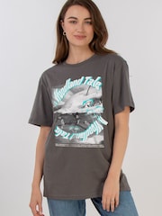 Brands In Grey Disney Bambi Woodland Tale T-Shirt - Image 1 of 4