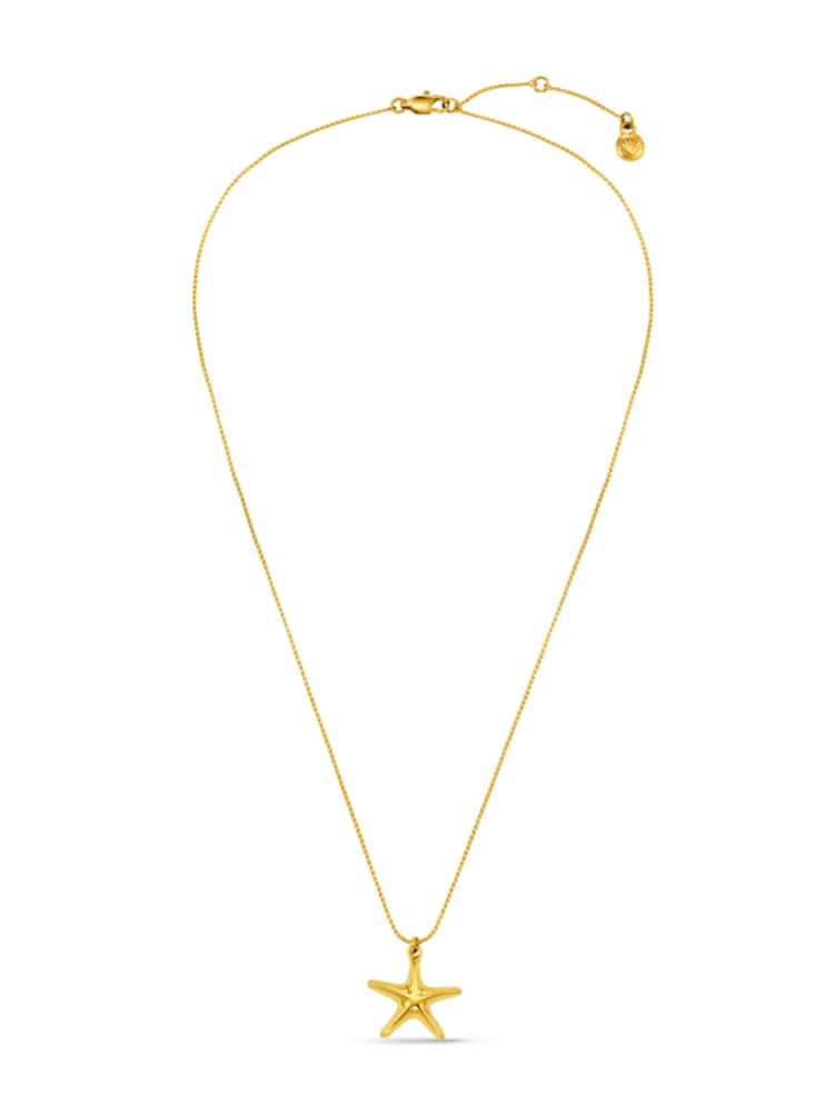 Orelia Luxe Gold Tone Waterproof Luxe Starfish Charm Necklace - Image 1 of 4 Orelia Luxe Gold Tone Waterproof Luxe Starfish Charm Necklace - Image 1 of 4