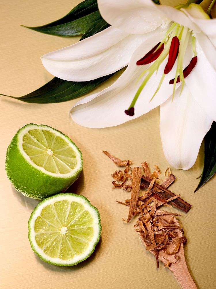 Define 10ml Perfume - Image 5 of 5 Define 10ml Perfume - Image 5 of 5