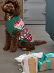 Pink/Green Dancing Elves Christmas Dog Jumper - Image 1 of 5