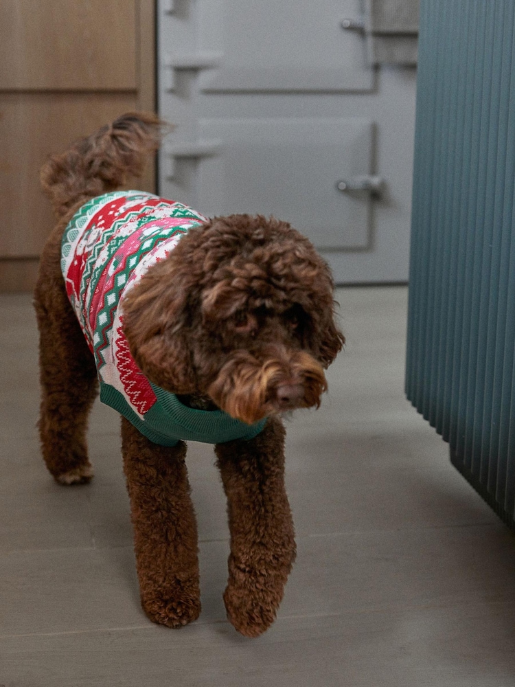 Pink/Green Dancing Elves Christmas Dog Jumper - Image 2 of 5