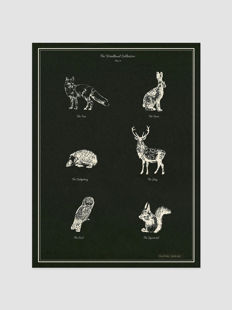 Joules Skogbunn Print Veggkunst - Bilde 1 av 2