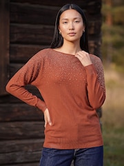 Roman Brown Batwing Hotfix Jumper - Image 1 of 4