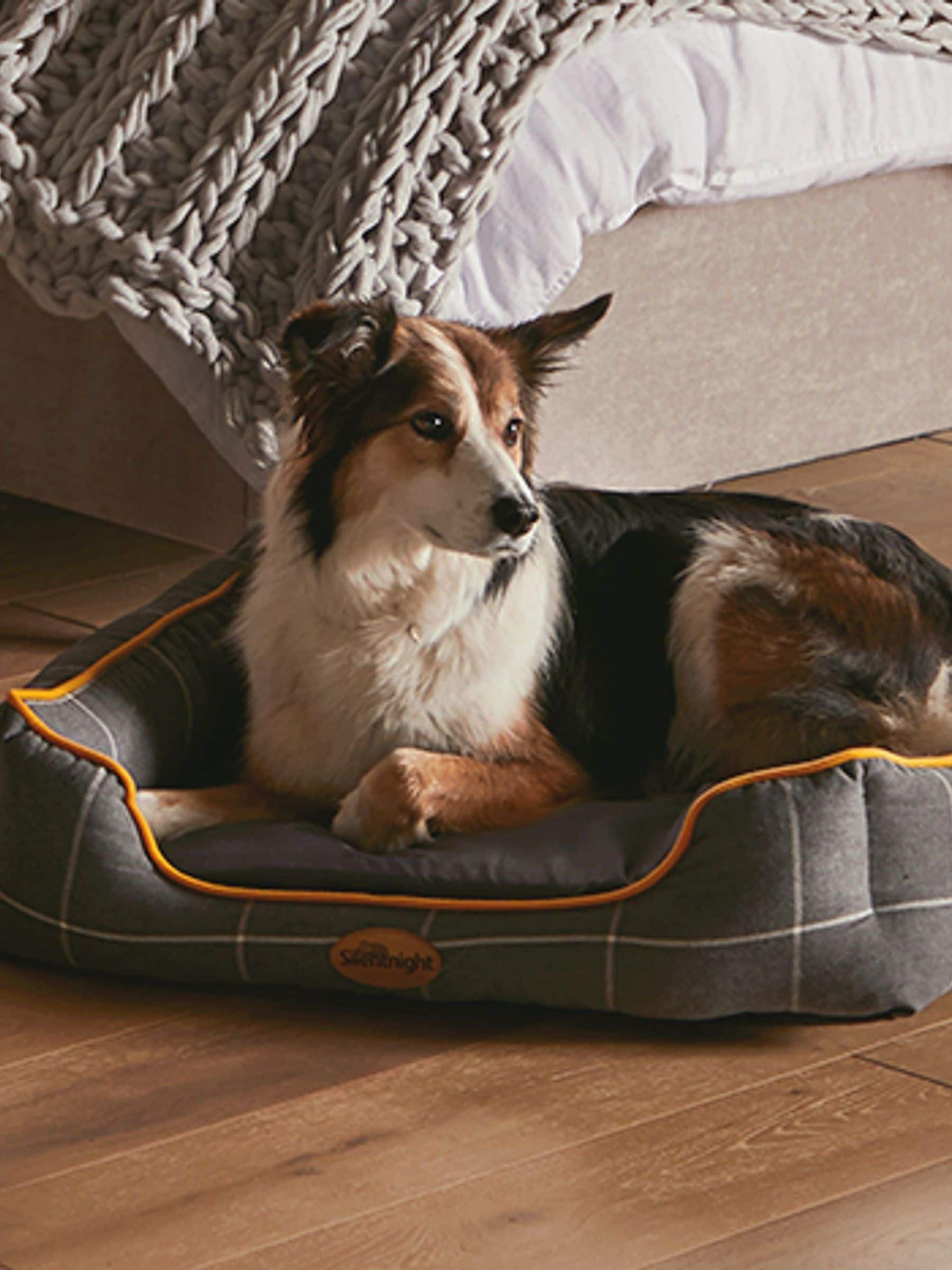 Silentnight Grey Impress Memory Foam Pet Bed