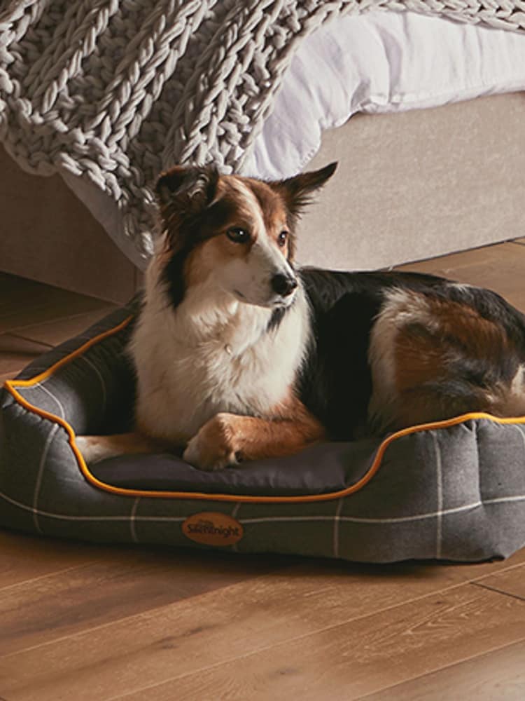 Silentnight Grey Impress Memory Foam Pet Bed - Image 1 of 8