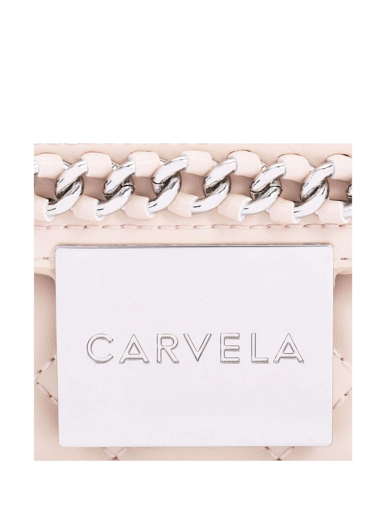 Carvela Mini Bailey Xbody Bag - Image 5 of 5