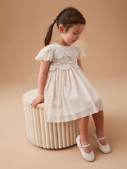 Pink Mesh Lace Dress (3mths-7yrs) - Image 1 of 7