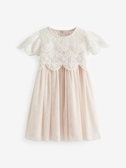 Pink Mesh Lace Dress (3mths-7yrs) - Image 5 of 7