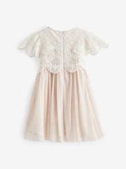 Pink Mesh Lace Dress (3mths-7yrs) - Image 6 of 7