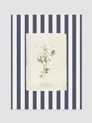 Joules Dancing Cosmos Print Wall Art - Image 1 sur 2
