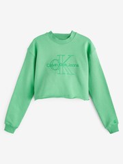 Calvin Klein Jeans Green Embroidered Monolog Jumper - Image 1 of 1