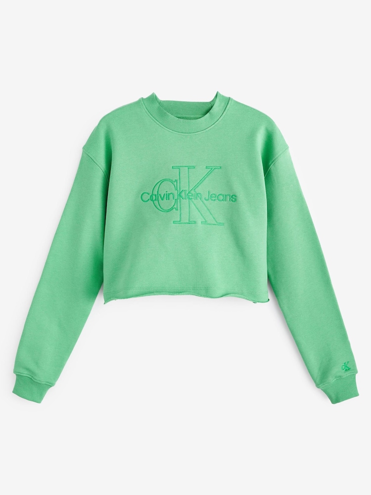 Calvin Klein Jeans Green Embroidered Monolog Jumper - Image 1 of 1