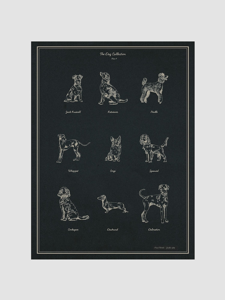 Joules Blue The Best in Show Print Wall 50 x 70cm Art - Image 2 of 2