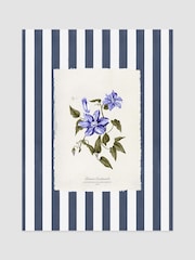 Joules Clematis Climber Wood Mounted Framed Print Wall Art - 4şəkildən 1 şəkil