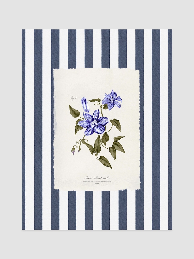 Joules Clematis Climber Wood Mounted Framed Print Wall Art - 4şəkildən 1 şəkil
